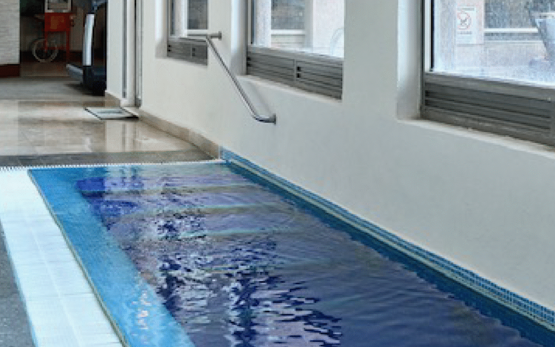 Agosto: tu mes para reconectar con el bienestar 🌿✨